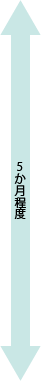 5か月程度