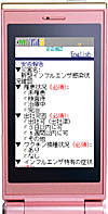 安否確認英語表記画面