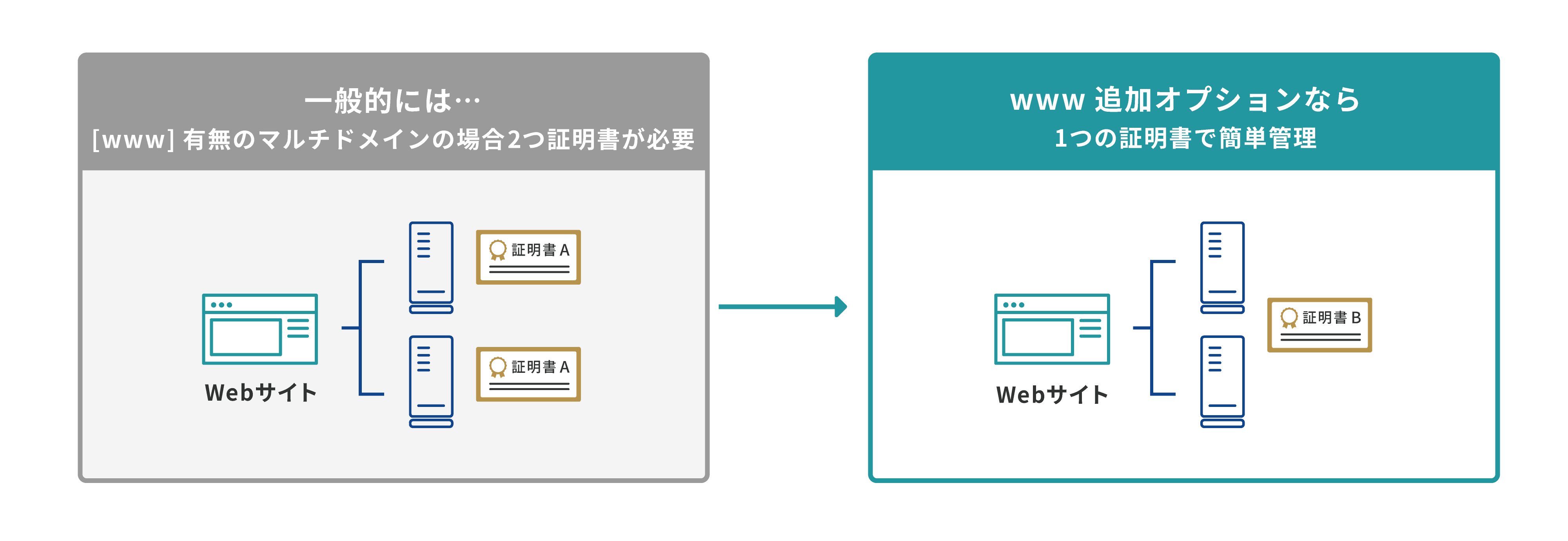 www追加オプションなら1つの証明書でOK